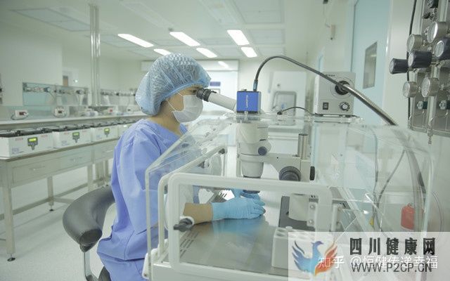 2022做三代試管嬰兒費用明細有哪些(2022年國家免費做試管嬰兒)(圖6) 2022做三代試管嬰兒費用明細有哪些(2022年國家免費做試管嬰兒)(圖6)