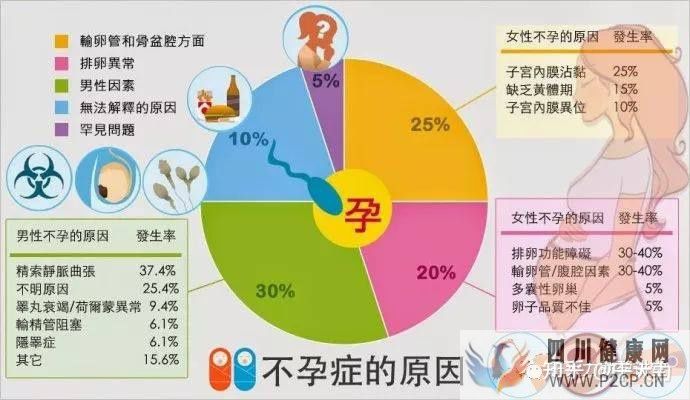 試管嬰兒的一個(gè)基本流程和周期時(shí)間(二代試管嬰兒需要多長時(shí)間)(圖5) 試管嬰兒的一個(gè)基本流程和周期時(shí)間(二代試管嬰兒需要多長時(shí)間)(圖5)