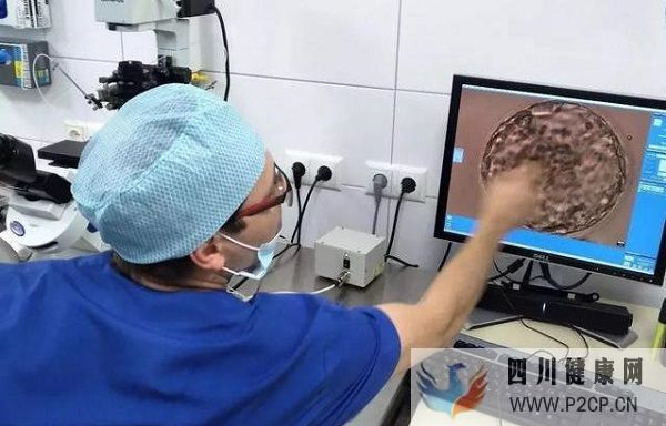 做試管嬰兒需要多長時(shí)間(二代試管嬰兒需要多長時(shí)間)(圖2) 做試管嬰兒需要多長時(shí)間(二代試管嬰兒需要多長時(shí)間)(圖2)