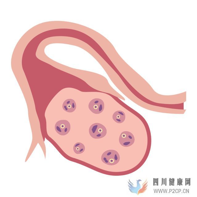 干貨女性取卵全過程(兩個女生試管嬰兒怎么做的全過程)(圖4)