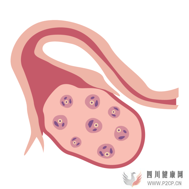 干貨女性取卵全過程(兩個女生試管嬰兒怎么做的全過程)(圖3)