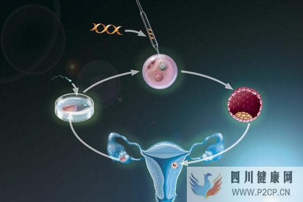 高齡女性做美國試管嬰兒累計周期的目的是什么?(美國做試管嬰兒的全部費(fèi)用大概是多少)(圖1) 高齡女性做美國試管嬰兒累計周期的目的是什么?(美國做試管嬰兒的全部費(fèi)用大概是多少)(圖1)