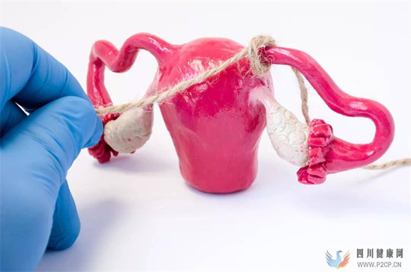 遭遇輸卵管堵塞,是首選試管嬰兒還是手術疏通呢?(女方輸卵管堵塞做試管嬰兒需要多長時間)(圖1) 遭遇輸卵管堵塞,是首選試管嬰兒還是手術疏通呢?(女方輸卵管堵塞做試管嬰兒需要多長時間)(圖1)