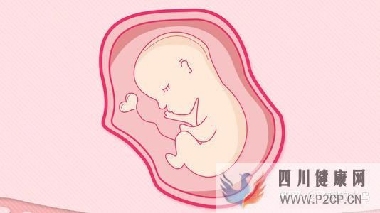 第三代試管的流程及時間究竟是(三代試管嬰兒需要多長時間)(圖1)