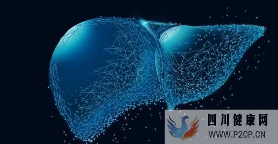 肝纖維化可逆轉?干細胞干預肝纖維化5大作用機制!(圖1) 肝纖維化可逆轉?干細胞干預肝纖維化5大作用機制!(圖1)