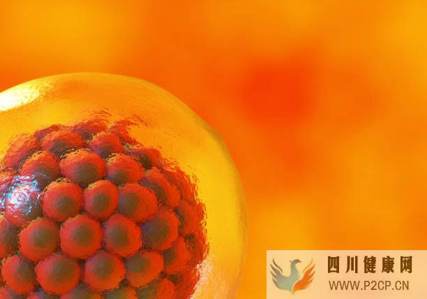 干細胞美容的效果是靠“吹”出來的嗎?(圖1) 干細胞美容的效果是靠“吹”出來的嗎?(圖1)