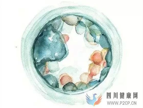 泰國試管嬰兒供卵的流程是怎么樣的？(圖1)