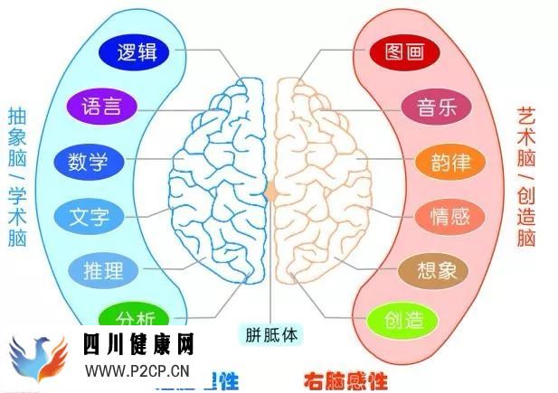 頭腦如何區(qū)分音樂和語言？
